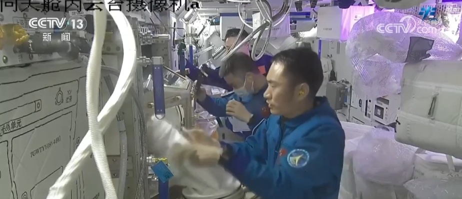 添置新防护→医疗救护→科学实（试）验…… | 神二十乘组工作周记亮点多