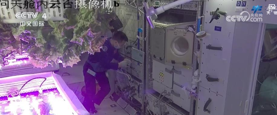 中国空间站各项空间科学实验试验项目按计划推进 中国空间站各项空间科学实验试验项目按计划推进