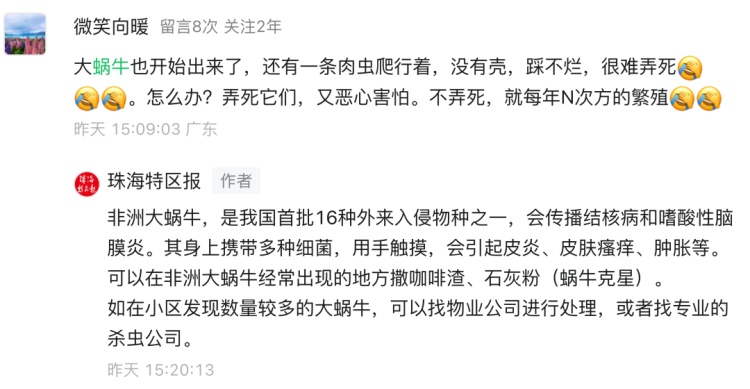 雨后大量出现到处乱爬的大蜗牛！珠海多人遇到！不要碰也不要吃！