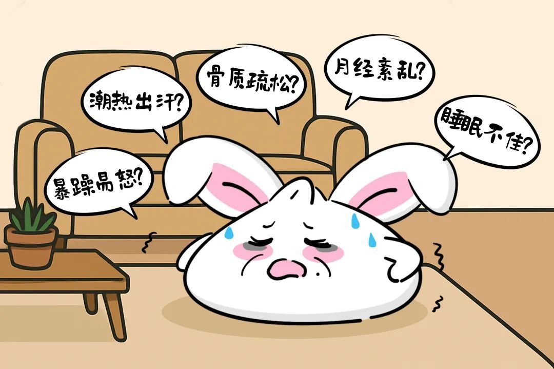 医聊丨从少女到银发，雌激素如何默默守护女性的一生？