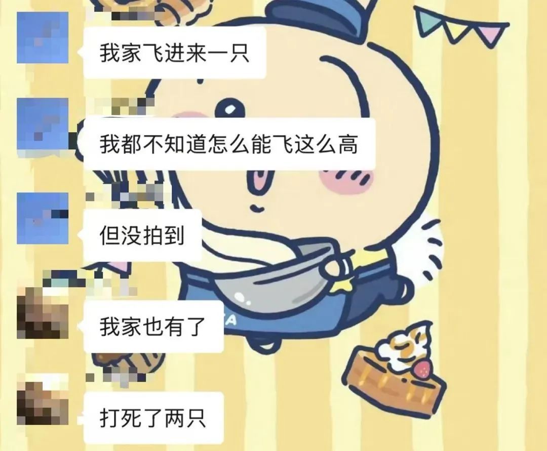 雨后广州街头大量出现！提醒：不要碰也不要吃！