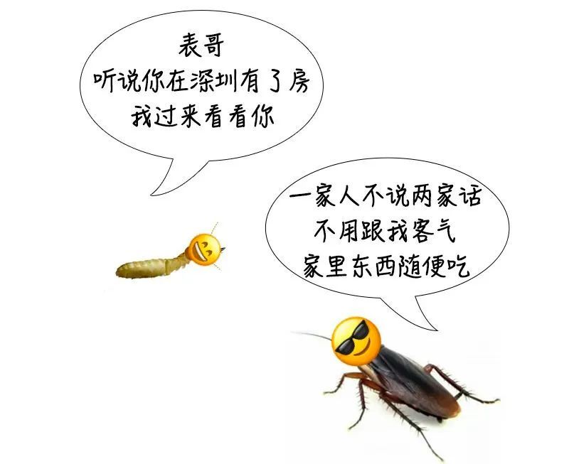 密密麻麻，广东大量出现！紧急提醒：关窗！关窗！！