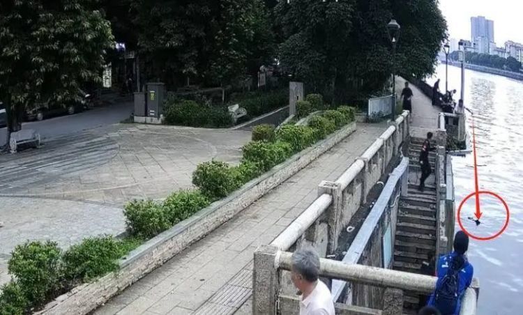 男子用鱼线精准钩住老人裤腿，救起七旬落水阿婆
