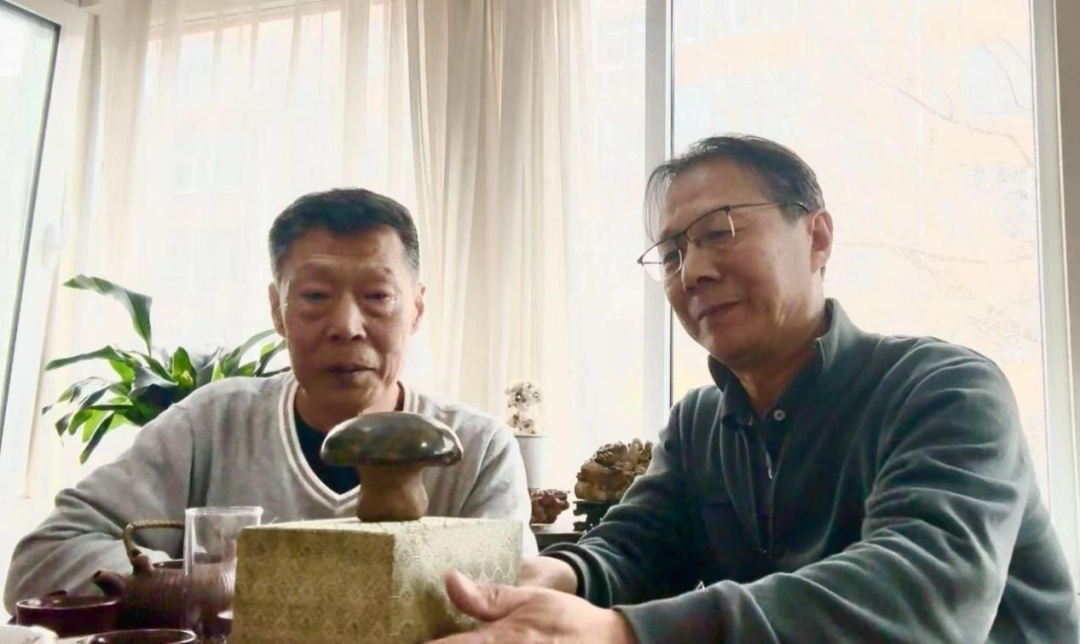 时隔40载，又一枚佛眼“回”到云冈！