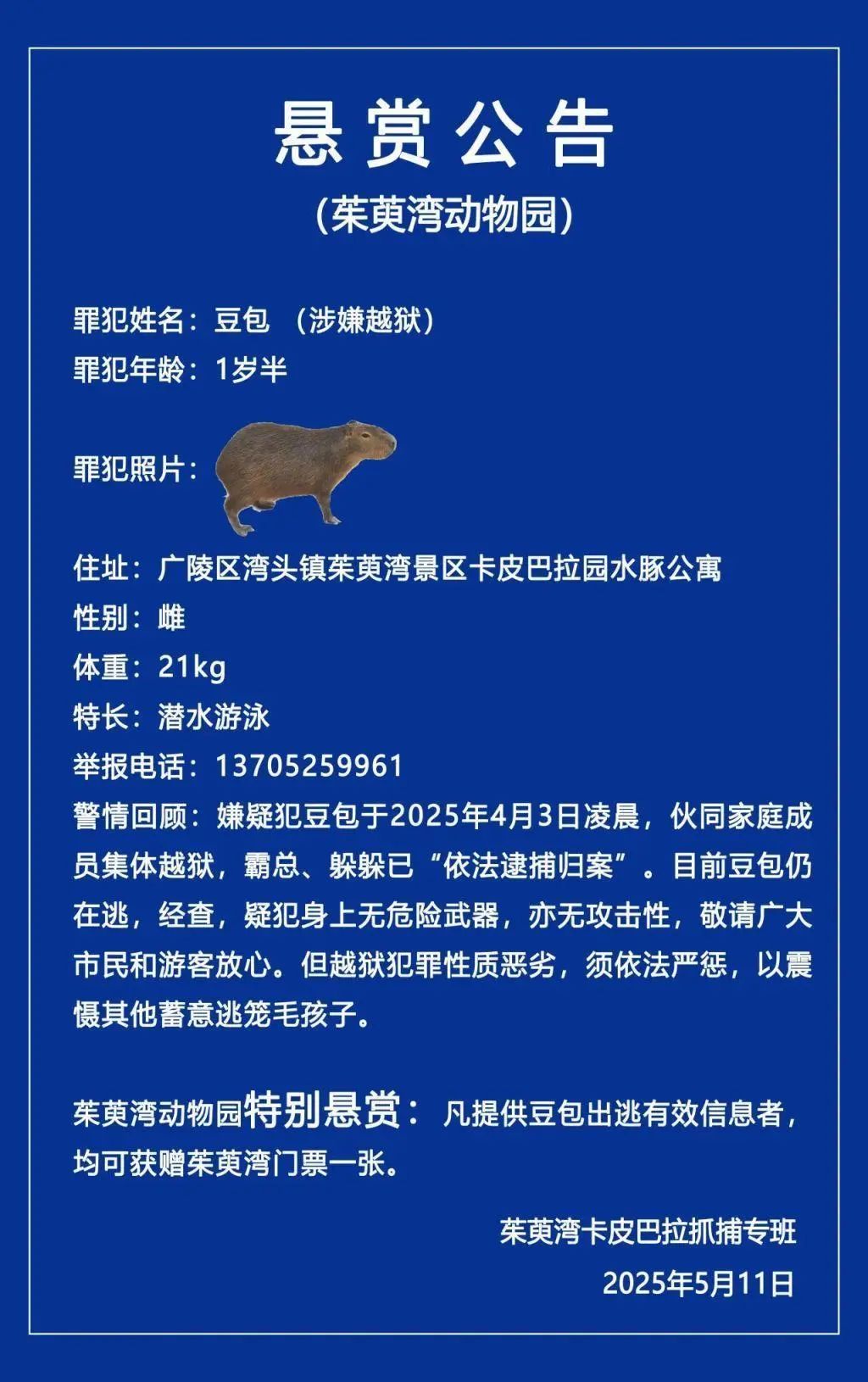 卡皮巴拉出逃40天未归！扬州一动物园悬赏捉拿