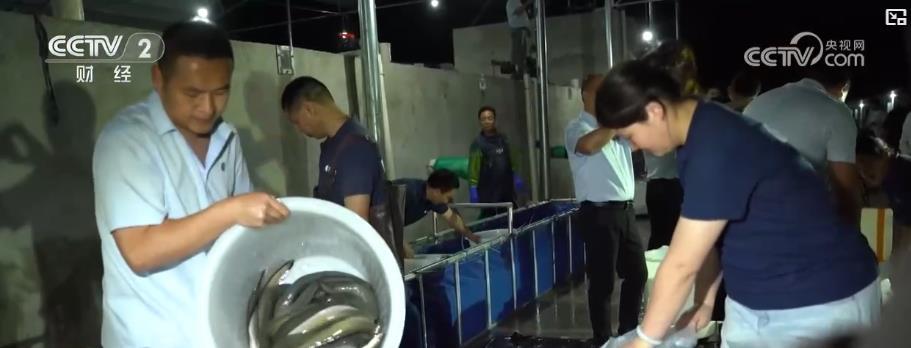 鲜活水产品直通国际市场 特色养殖带动就业增收
