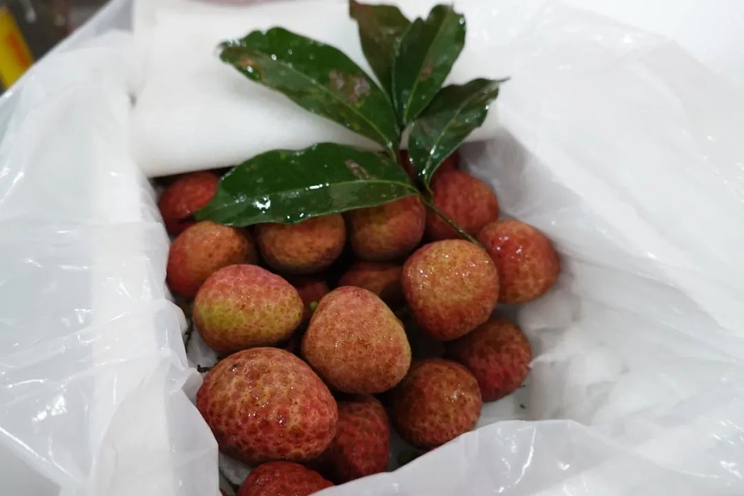 大跳水！暴跌40%!