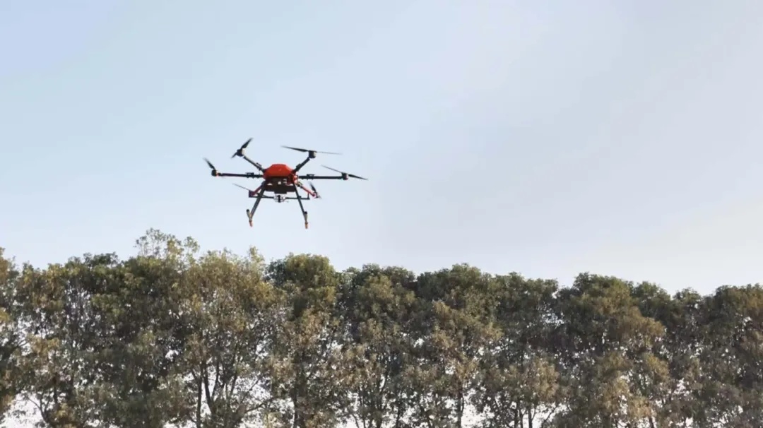 太火了!这个行业需求量激增,有人一天收入超七千元 太火了!这个行业需求量激增,有人一天收入超七千元