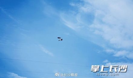 长沙今明两日阳光依旧 14日晚起降雨拉开帷幕