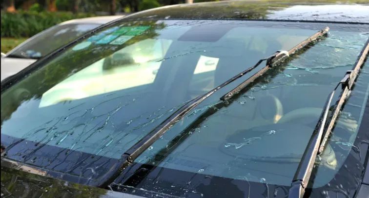 学生出游必备!出发前需知→ 学生出游必备!出发前需知→