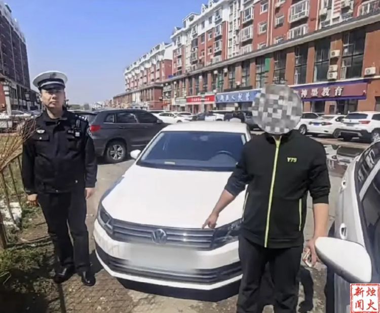 马路上开车牵马遛羊？大庆交警开罚单