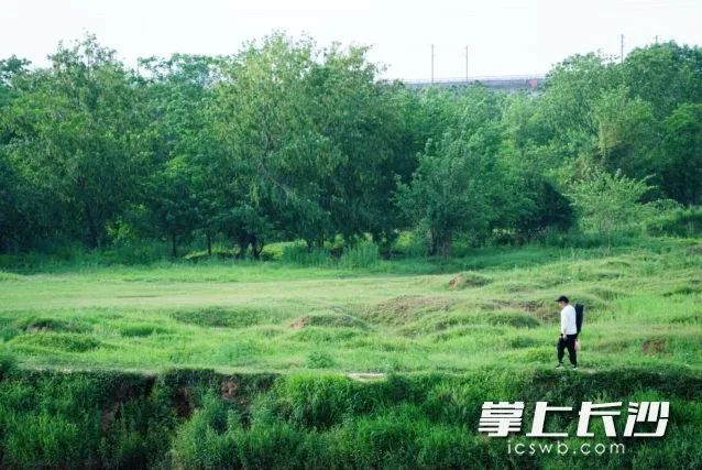 雷雨、中雨、大雨！马上到长沙！