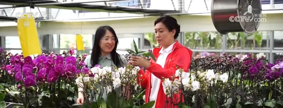 乡村旅游“燃”动:县域订单年轻化 旅居创业共绘乡村新景 乡村旅游“燃”动:县域订单年轻化 旅居创业共绘乡村新景