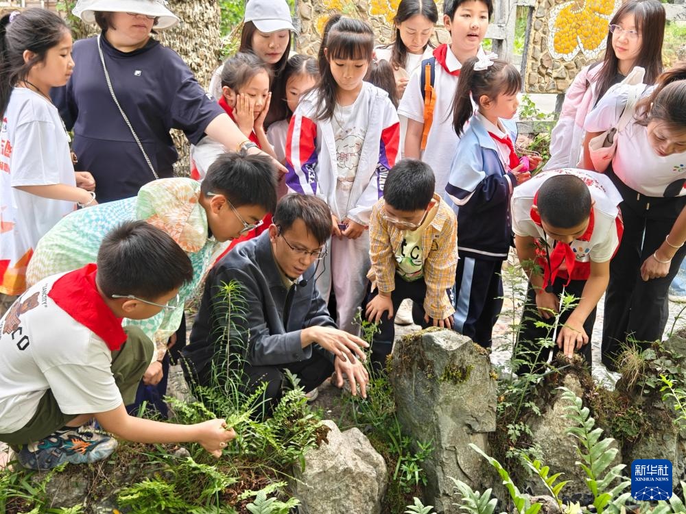 新华全媒＋丨父子携手17载守护汶川这片“植物王国”
