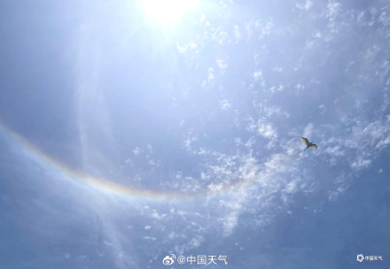 广西桂林上空日晕与环地平弧同框