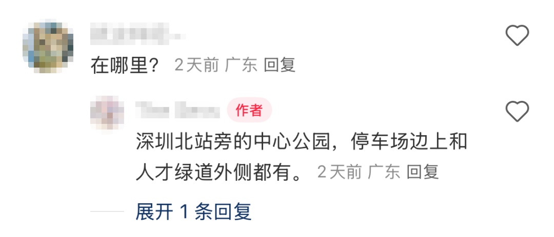 官方回应“网传深圳北站中心公园可以摘杨梅”