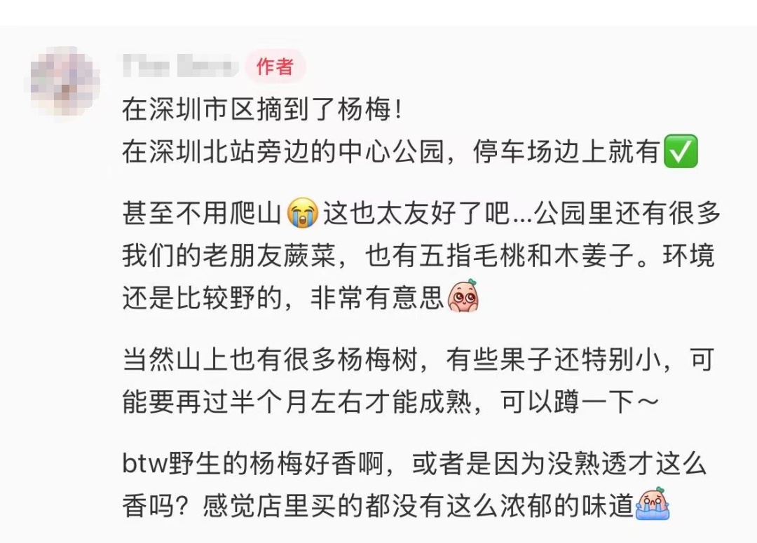 官方回应“网传深圳北站中心公园可以摘杨梅”