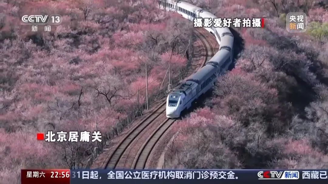 庄稼被踩踏，垃圾扔麦田，谁在“暴力打卡”？