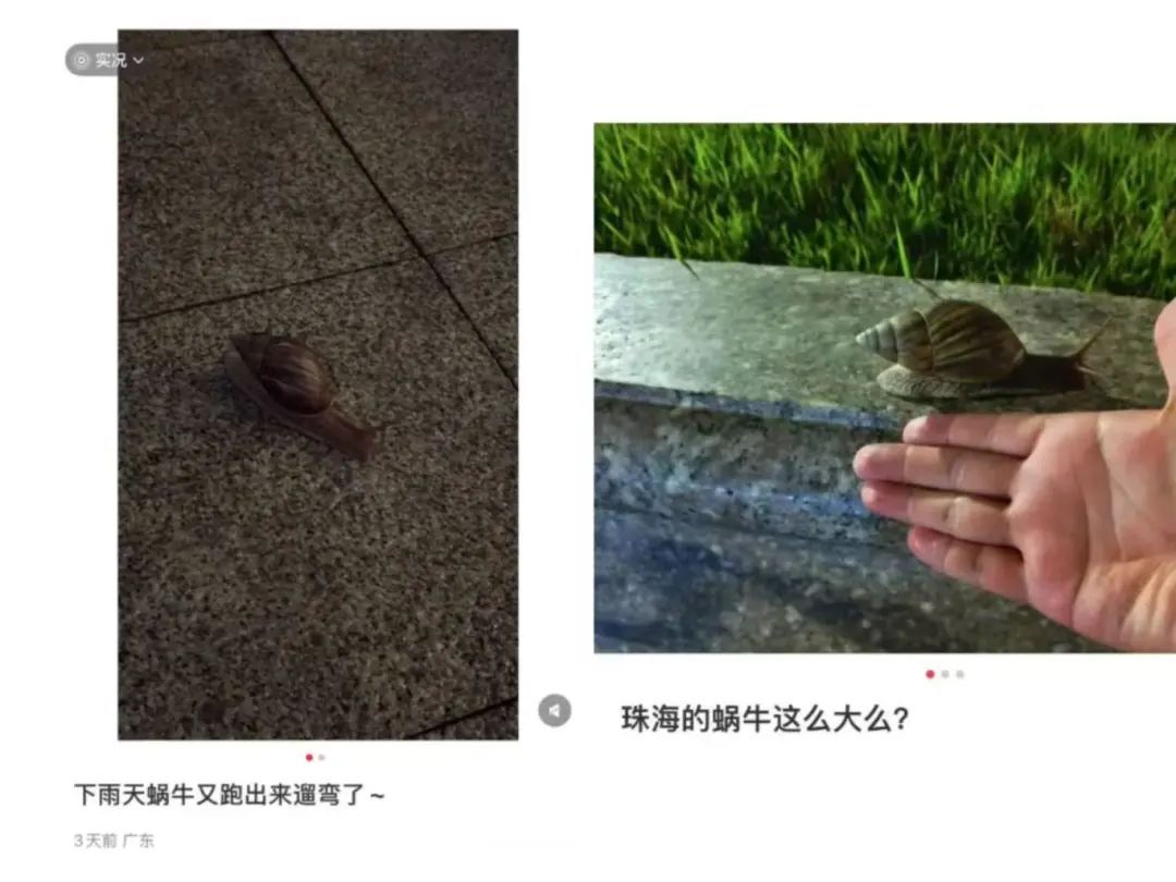 雨后大量出现，满墙都是……看得头皮发麻！提醒：别碰也别吃