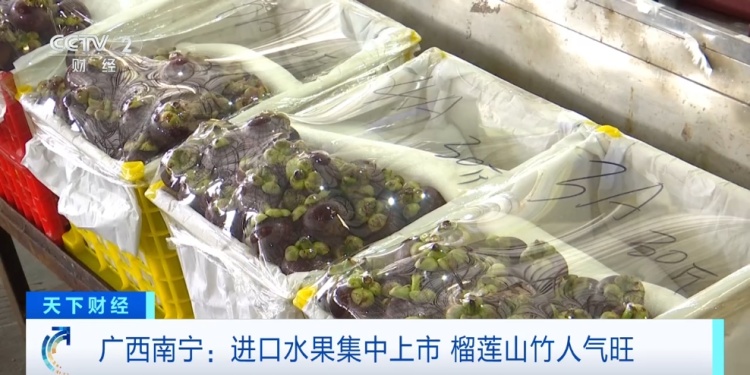 价格降了！水果里的顶“榴”，一整个大期待