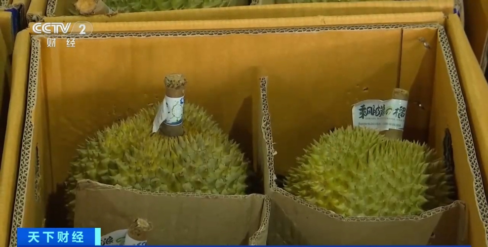 价格降了！榴莲大量上市 一整个期待住了