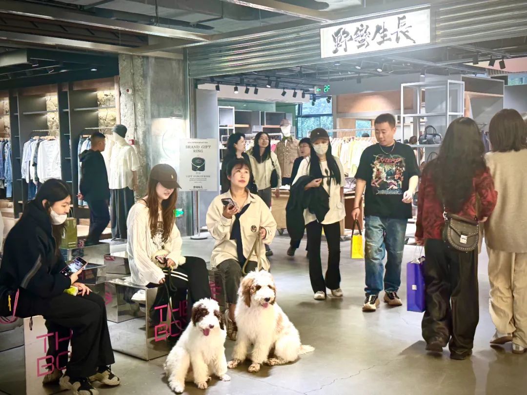 不按套路出牌，撬动商业新模式