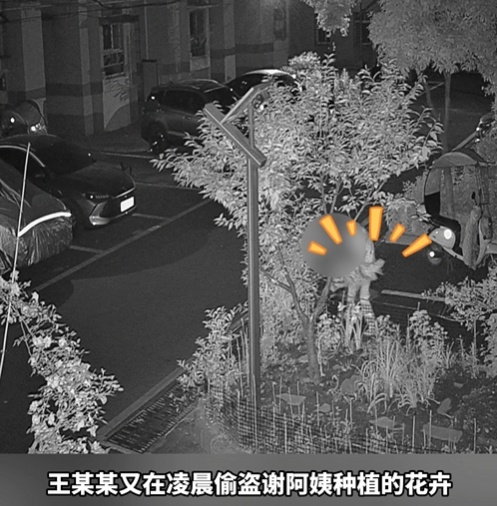 花美，就偷？养花还需先“养心”！