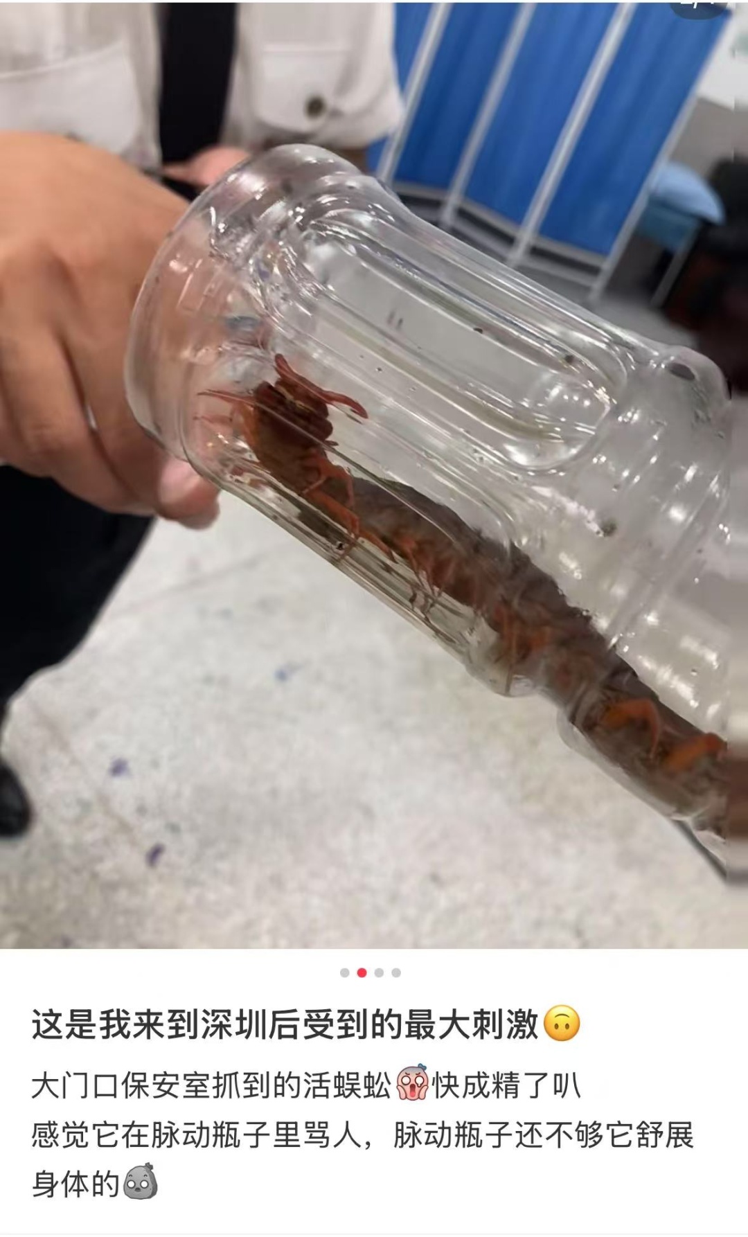 有剧毒！千万别碰！紧急提醒！