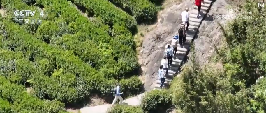 户外运动产业迎规模化发展 消费扩容激活新经济增长点