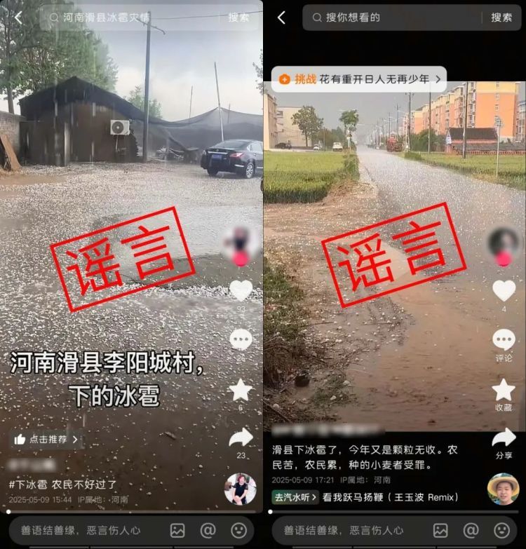 “冰雹导致小麦颗粒无收”？河南安阳回应