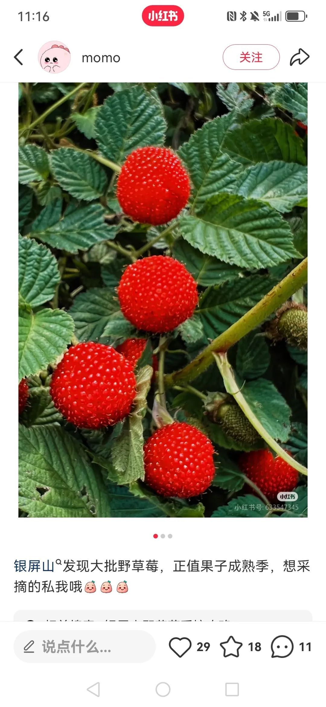 合肥人最近迷上“打野”?有人“呕心沥血”整理攻略,提醒:有风险 合肥人最近迷上“打野”?有人“呕心沥血”整理攻略,提醒:有风险