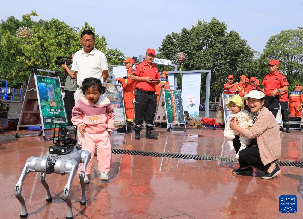 防灾减灾日关注灾难应对