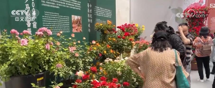 多地鲜花盛景引客来 赏花游催热“美丽经济”