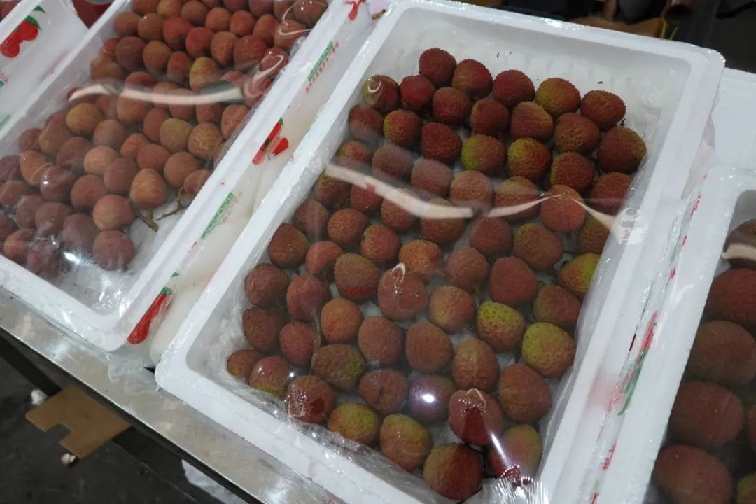 “明星水果”价格大跳水!有老板直言:一天一个价 “明星水果”价格大跳水!有老板直言:一天一个价