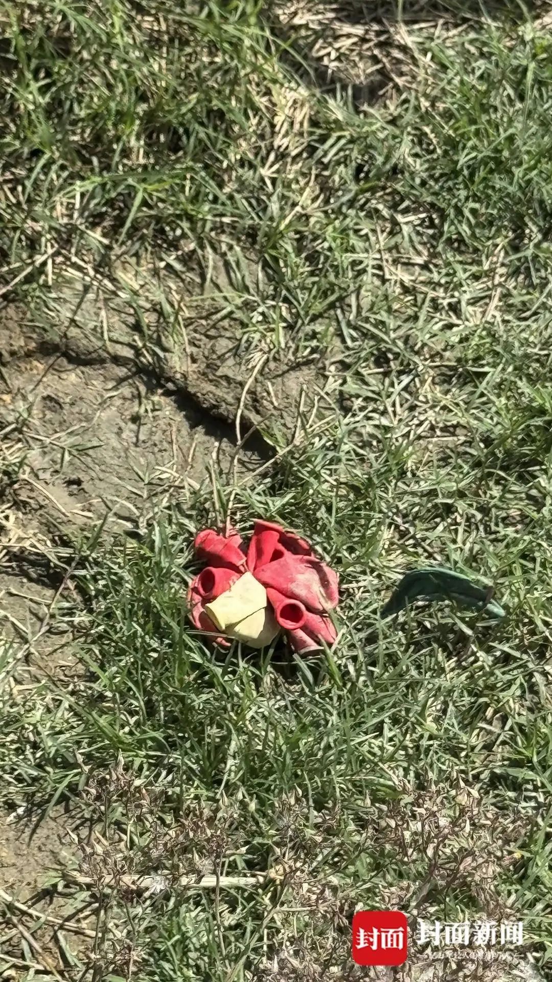 庄稼被踩踏，垃圾扔麦田，谁在“暴力打卡”？