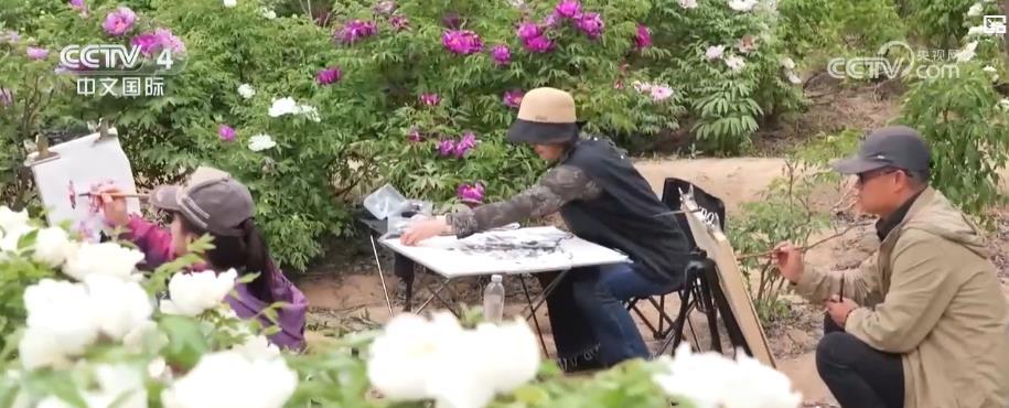 多地鲜花盛景引客来 赏花游催热“美丽经济”