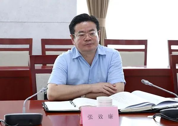 张效廉被决定逮捕！曾被批“官迷心窍、利令智昏”