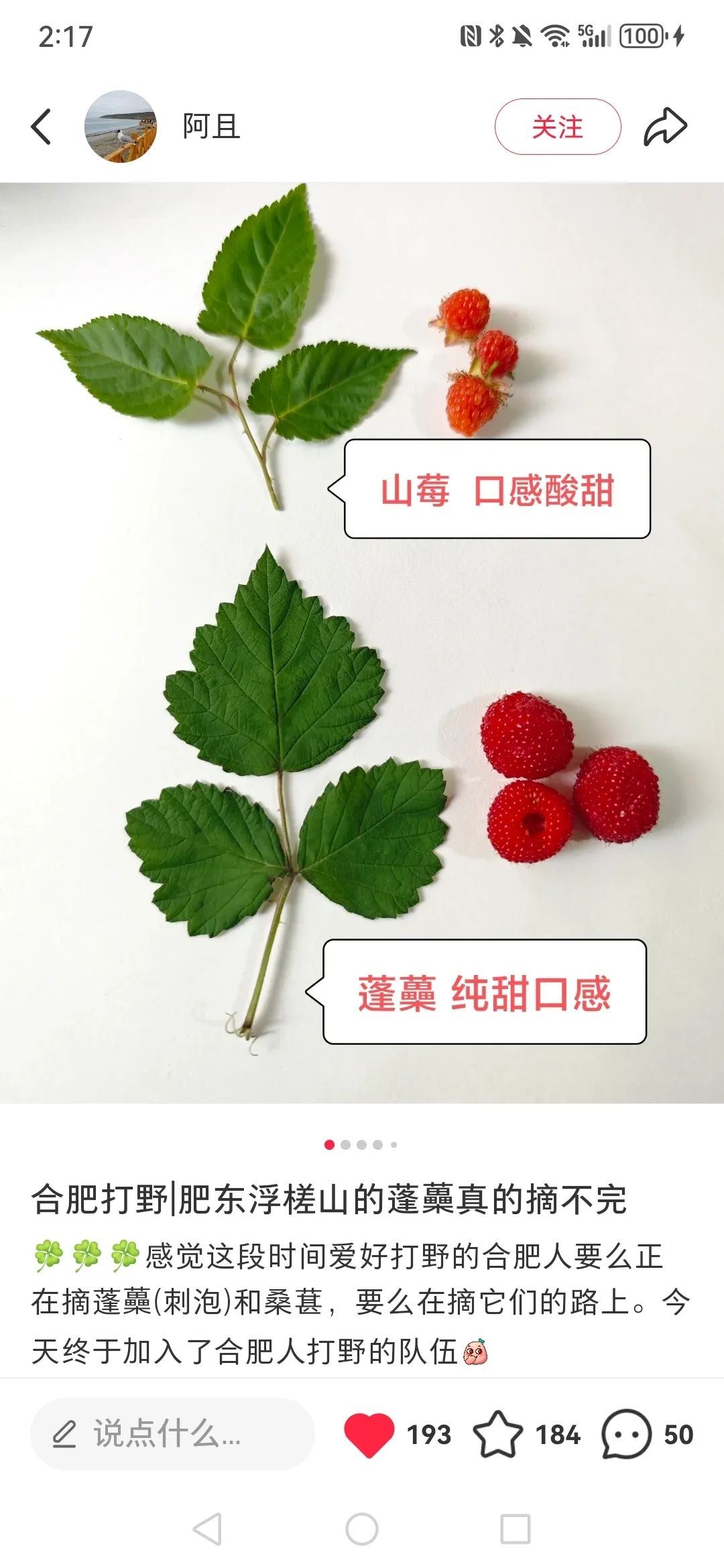 合肥人最近迷上“打野”?有人“呕心沥血”整理攻略,提醒:有风险 合肥人最近迷上“打野”?有人“呕心沥血”整理攻略,提醒:有风险