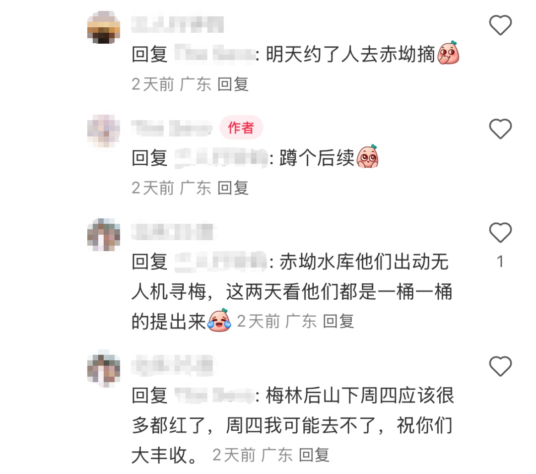 官方回应“网传深圳北站中心公园可以摘杨梅”