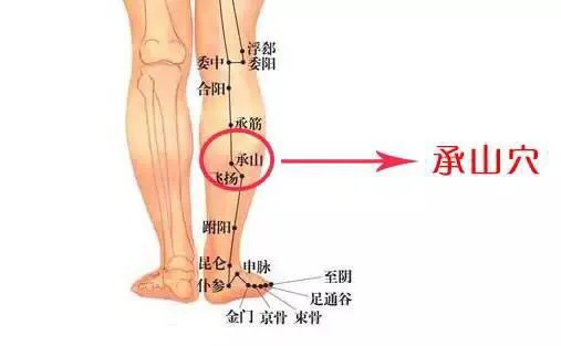 人体的“阳气窝 ”!拍一拍,从头舒服到脚,气血充盈 人体的“阳气窝 ”!拍一拍,从头舒服到脚,气血充盈