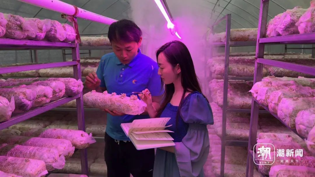 收编“果菌王”后，他们还在全网追“菌”！