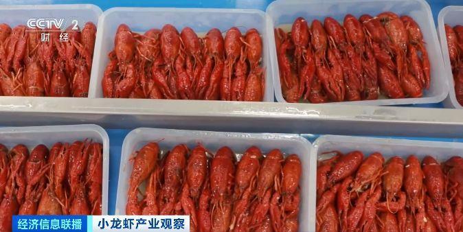 旺季来临销量明显增加  小龙虾加工品成海外市场新宠