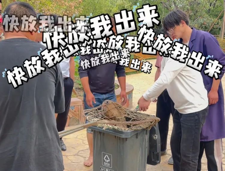 悬赏奖励升级!“越狱”卡皮巴拉“豆包”位置已初步锁定 悬赏奖励升级!“越狱”卡皮巴拉“豆包”位置已初步锁定