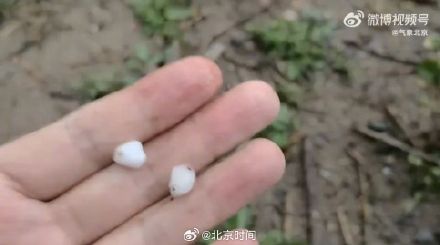 北京发布雷电大风冰雹3预警 北京发布雷电大风冰雹3预警