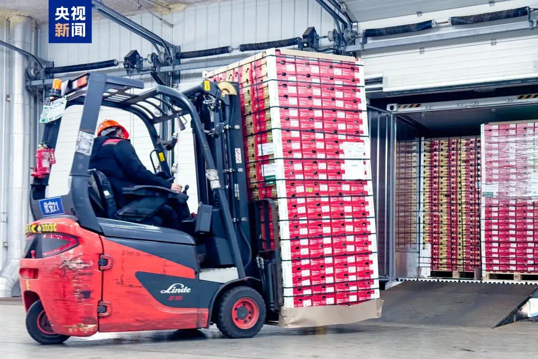 价格都打下来了！“美食自由”的背后是……