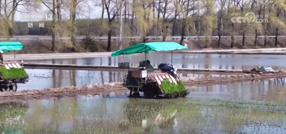 “良种+良机+良法”助力增产增收 希望的田野上绘就如画“丰”景
