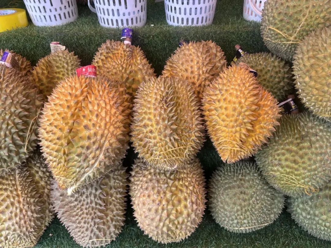 曾经的“水果贵族”低至18元/公斤,已在昆明大量上市…… 曾经的“水果贵族”低至18元/公斤,已在昆明大量上市……