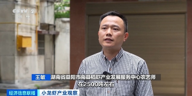 价格近乎腰斩！预计“还会再降”