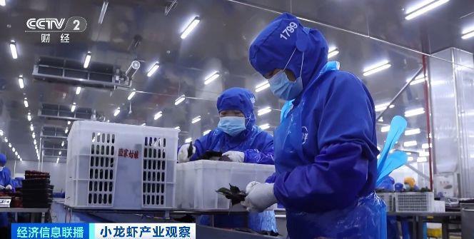 旺季来临销量明显增加  小龙虾加工品成海外市场新宠