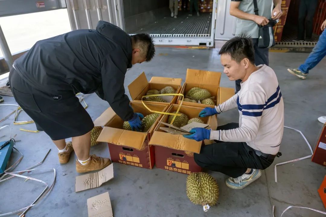 低至18元/公斤，昆明人实现榴莲自由就是这么从容！
